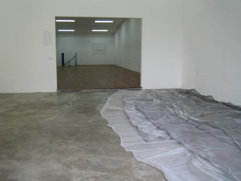 untitled site specifc floor installation (2)  metallic mesh dimensions variable 2009